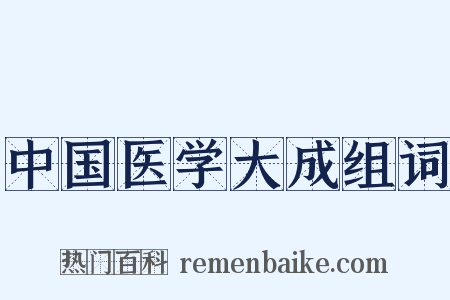 中国医学大成组词是什么意思的图片